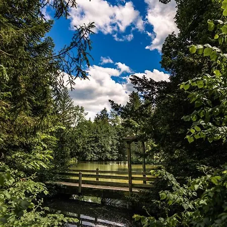 Dammenmuehle 3*