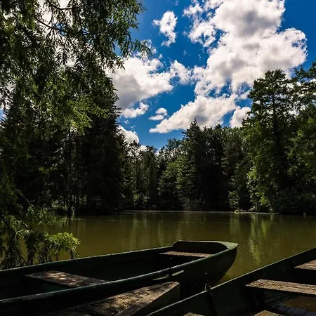 Dammenmuehle מלון להר