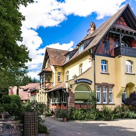 Dammenmuehle 3* להר