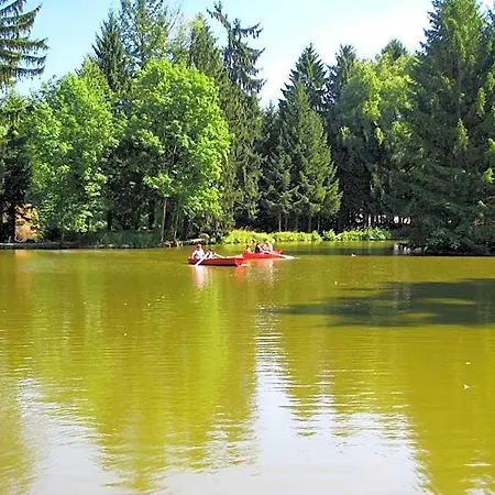 فندق Dammenmuehle 3*