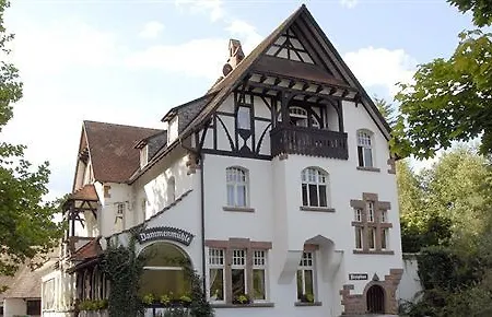 Dammenmuehle Hotell 3*