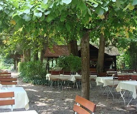 Szálloda Dammenmuehle Lahr