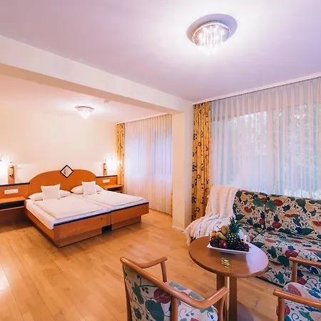 Dammenmuehle Hotell Lahr (Baden-Wurttemberg)